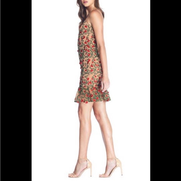 Dress the population 3D Cherry dress size L.  Dress is like a tan w/ green & red - Picture 3 of 10